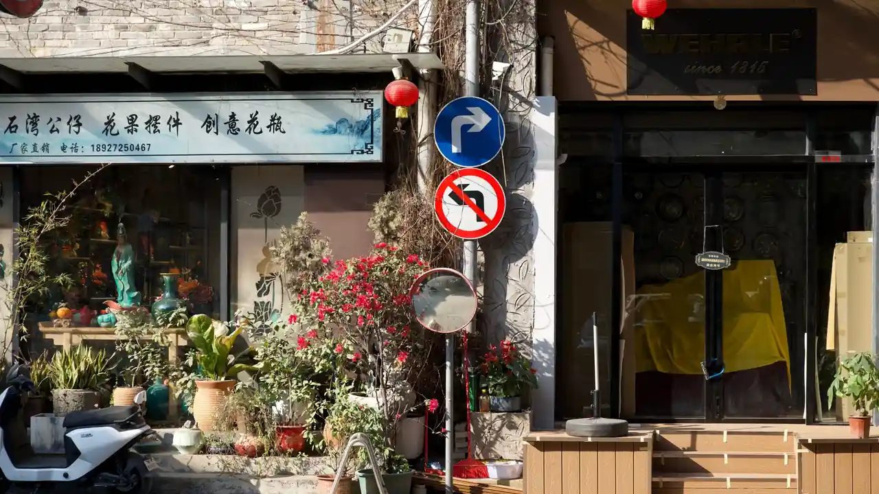 西西GoGoGo全集免费观看指南